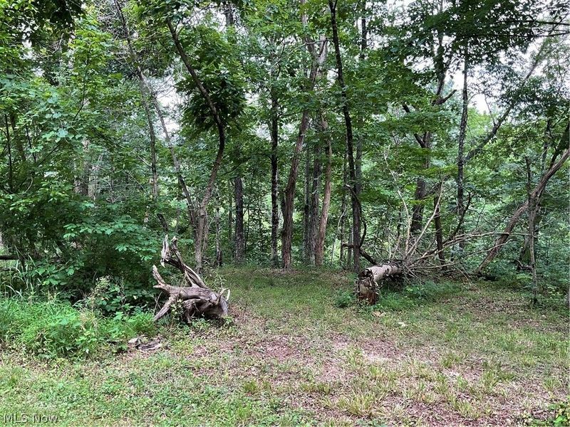 2345 Heldman Road, Wingett Run, OH 45789 Photo 37
