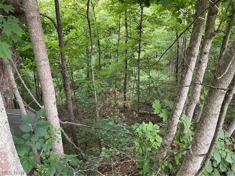 2345 Heldman Road, Wingett Run, OH 45789 Photo 38
