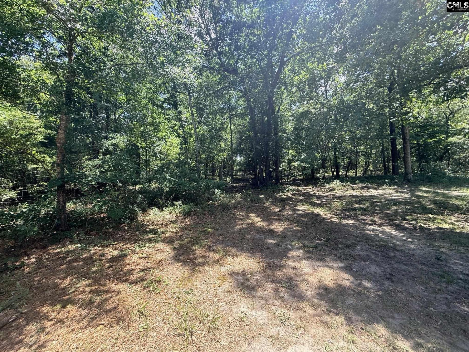 612 Edisto Lake Road Photo 42
