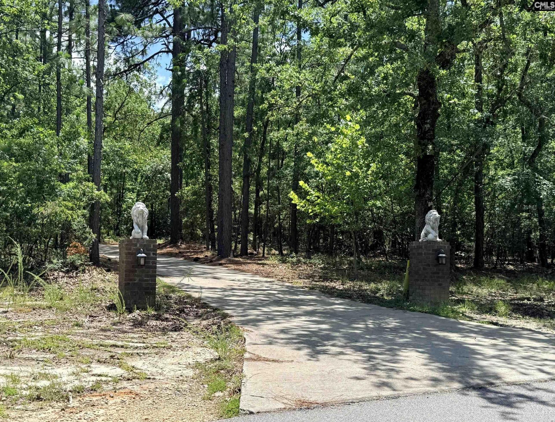 612 Edisto Lake Road Photo 5