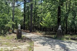 612 Edisto Lake Road photo 4