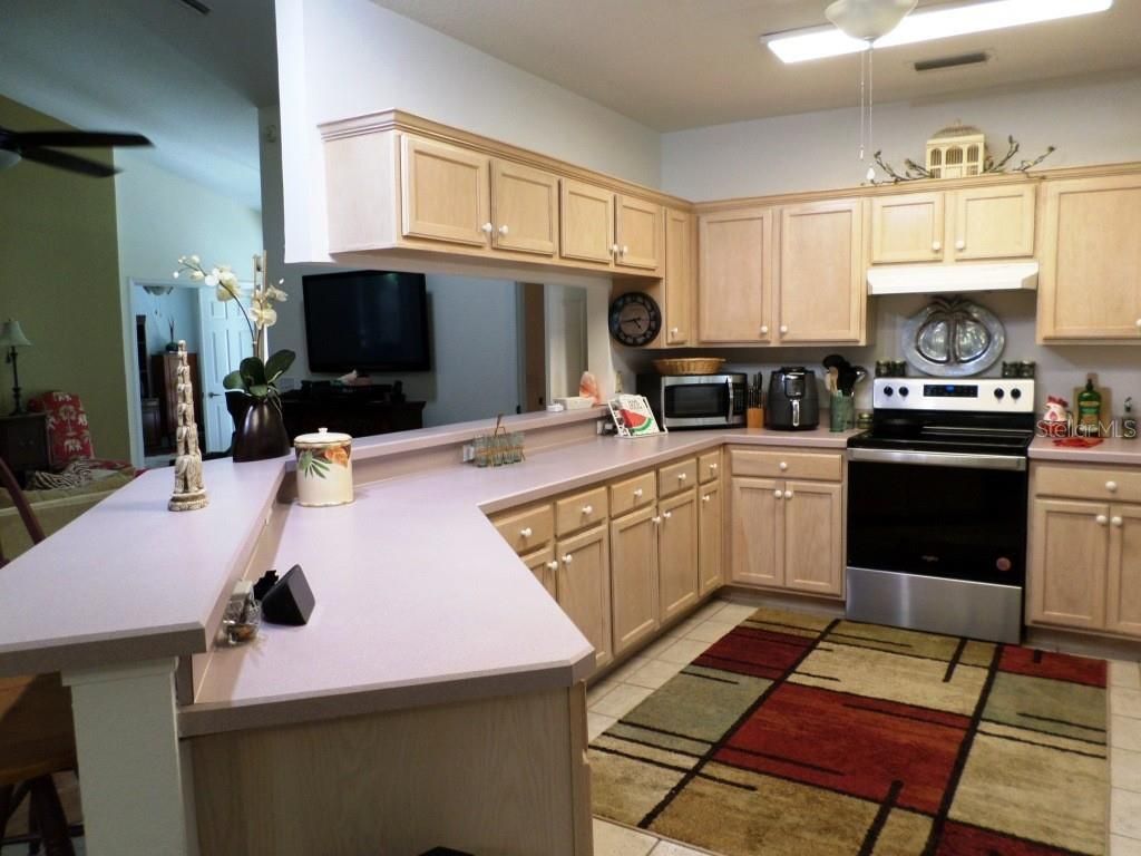 9093 SW 192nd Court Rd , Dunnellon, FL 34432 Photo
