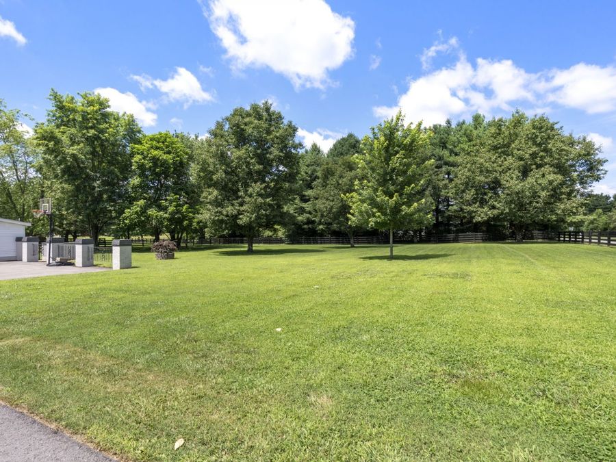 Property Image 83