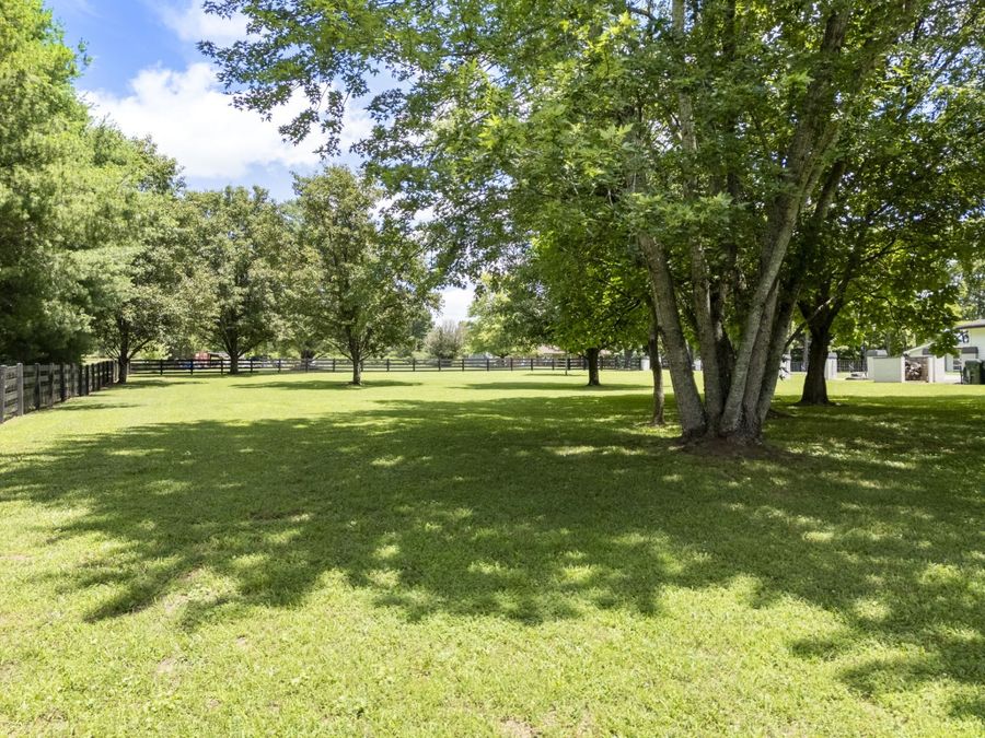 Property Image 99