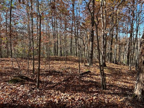 2.19 Ac Old Hwy 53, Celina, TN 38551