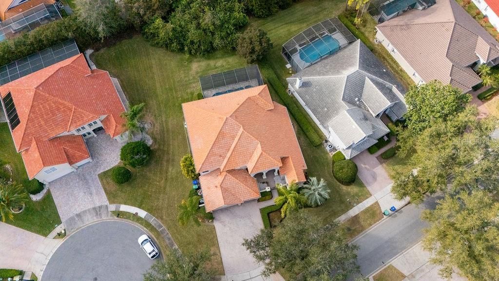 9050 Dancy Tree Court, Orlando, FL 32836 Photo