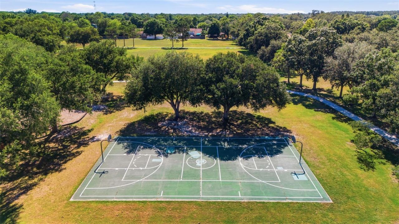 5113 Pennsbury Drive, Tampa, FL 33624 Photo