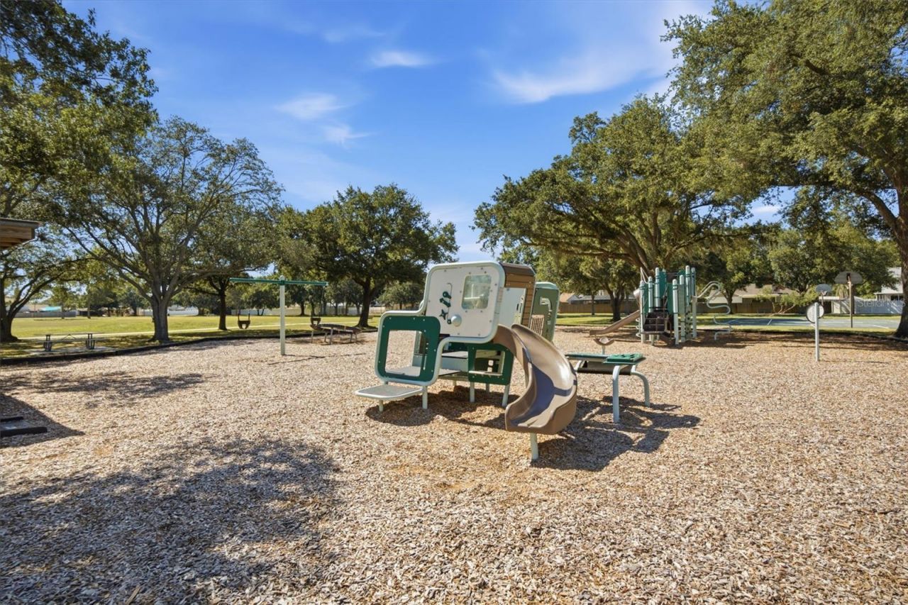 5113 Pennsbury Drive, Tampa, FL 33624 Photo