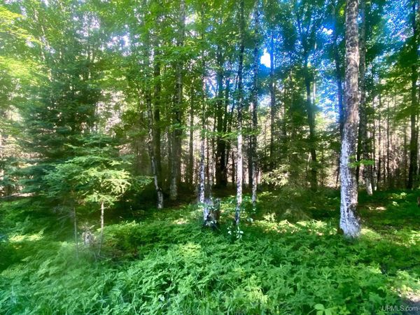 TBD Cedardale 28th Road, Cornell Twp, MI 49818