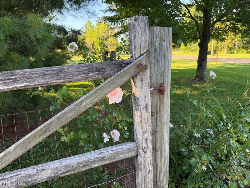 3656 Erhart Road, Litchfield, OH 44253 Photo 2