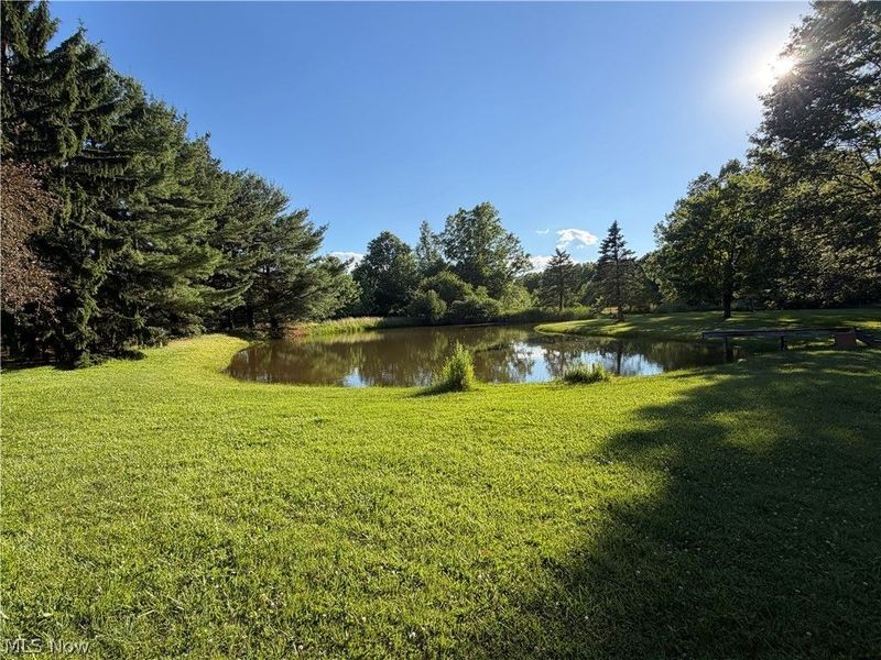 3656 Erhart Road, Litchfield, OH 44253 Photo 21
