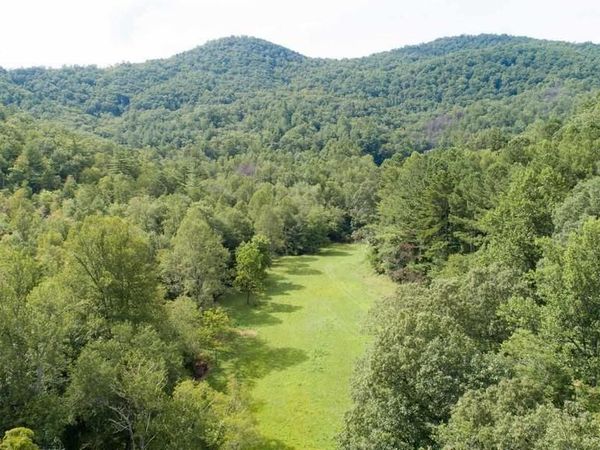 0 Highway 246, Dillard, GA 30537