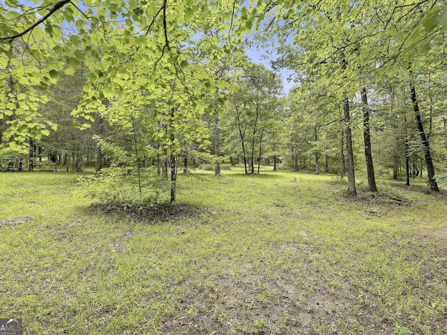 Property Image 51