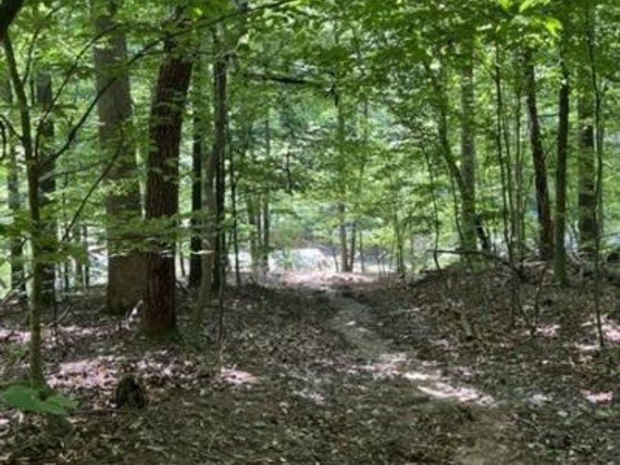 Property Image 35