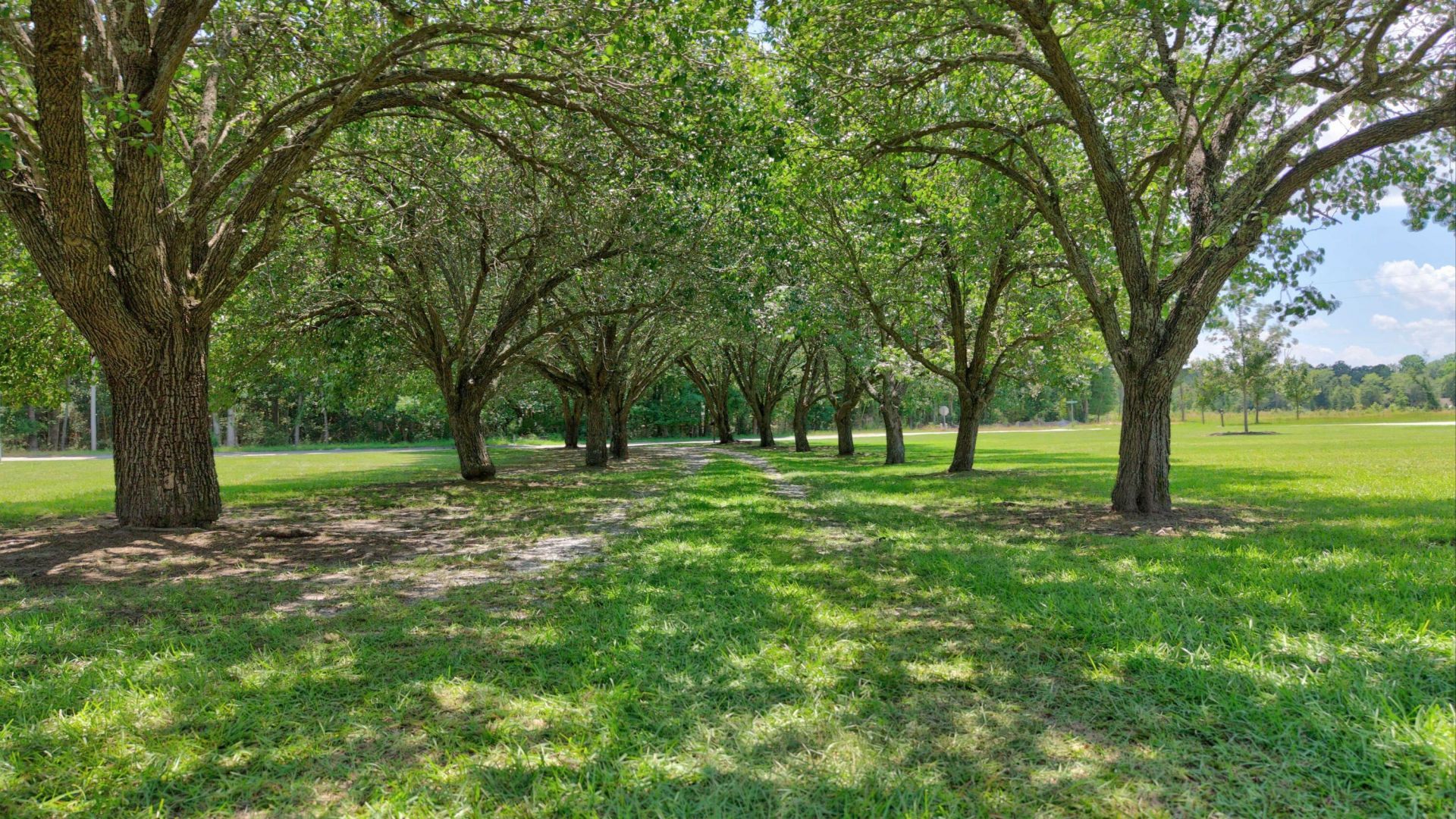 1132 Ackerman Drive Photo 49