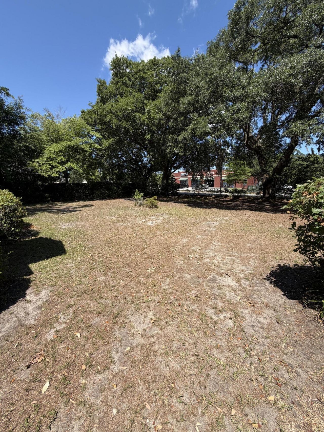 1227 Yeamans Hall Road  Photo 4