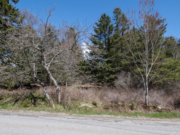 4/30 M/L North Road, Swans Island, ME 04685