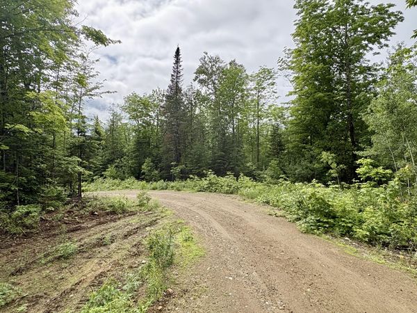 Lot 10 Mt. Jefferson Heights, Lee, ME 04455
