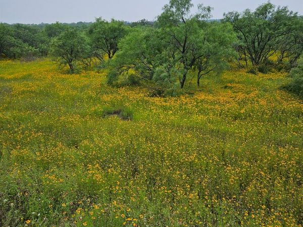 6990 County Road 246, Richland Springs, TX 76871