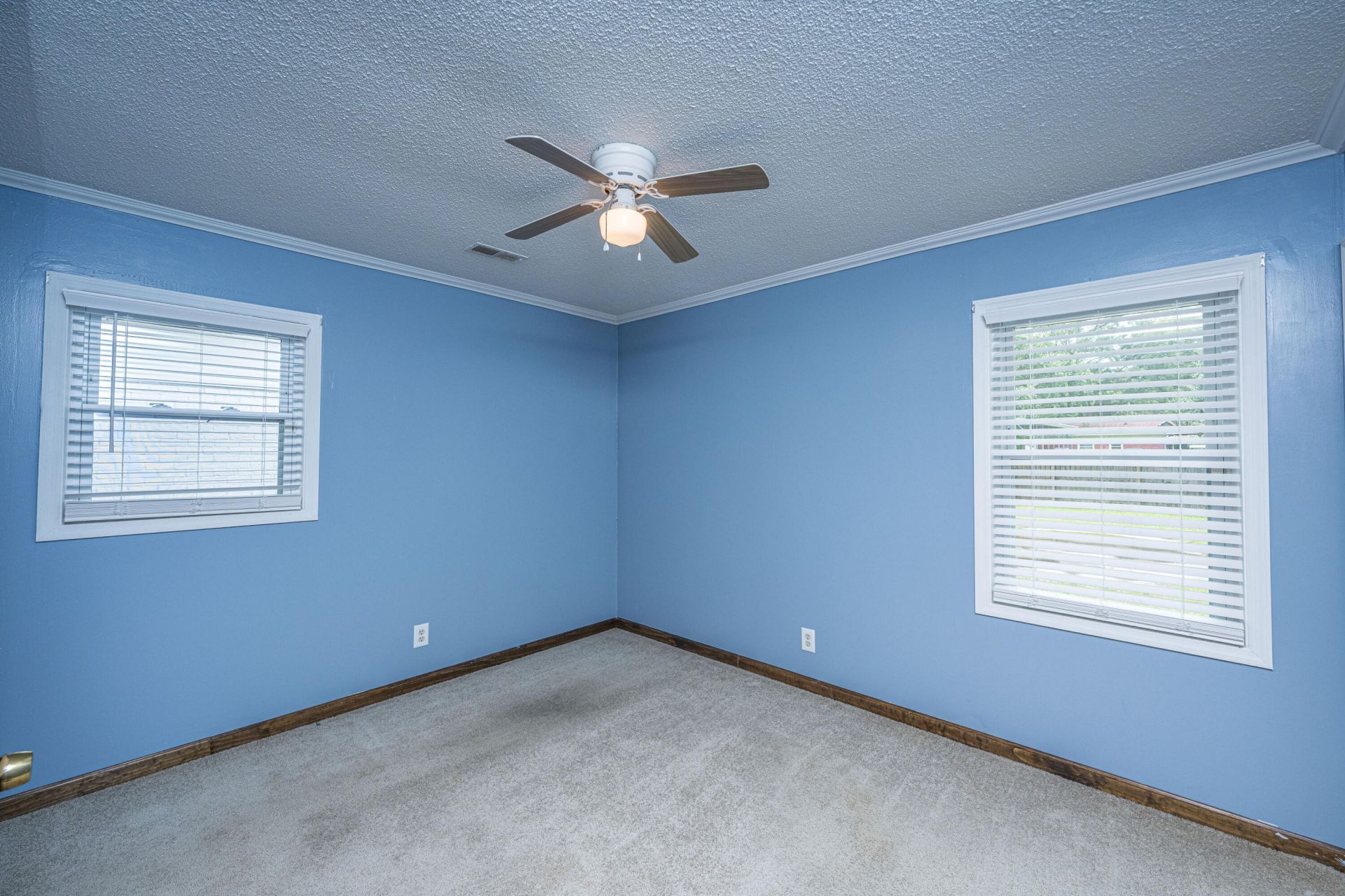 229 Amy Drive Photo 20