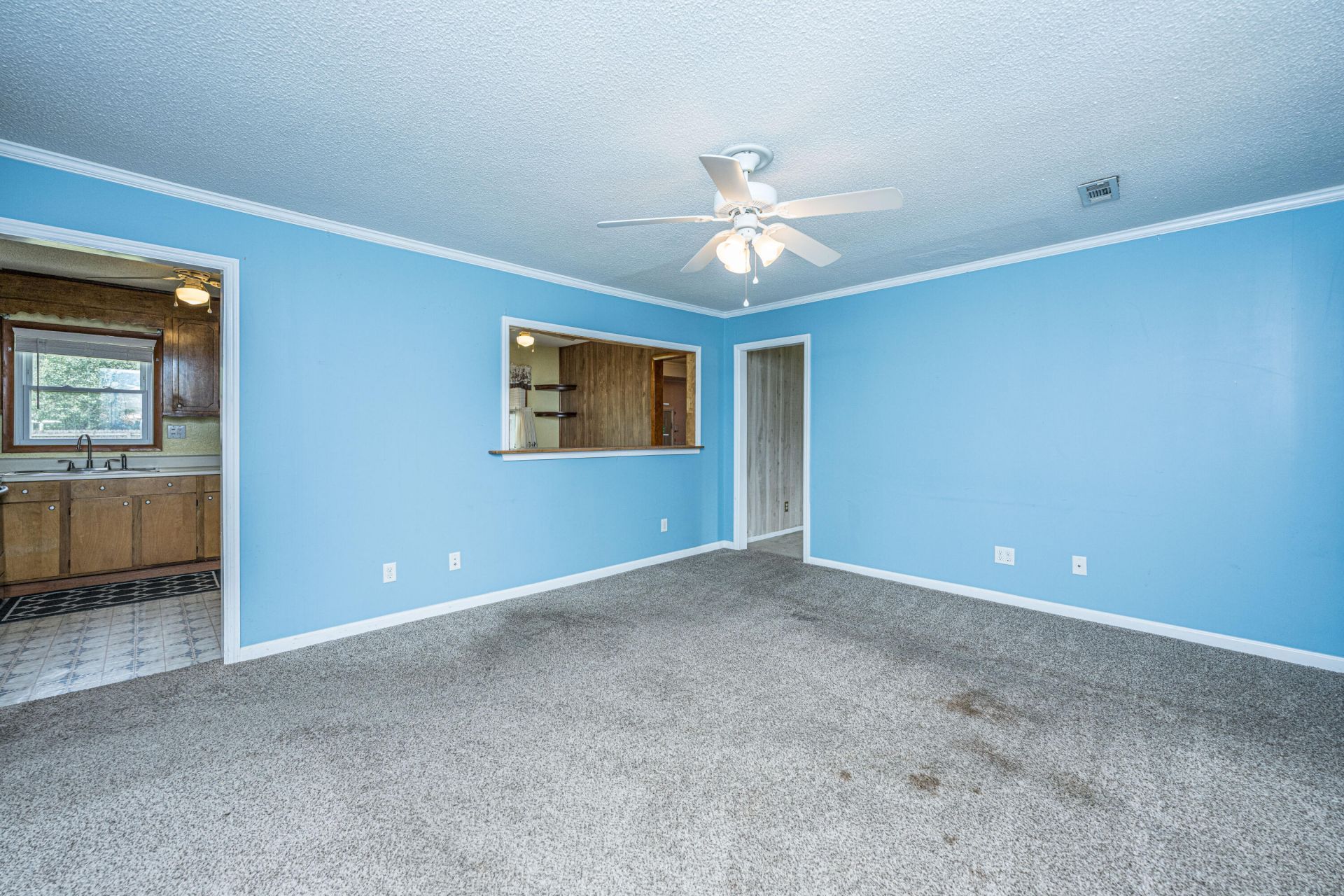229 Amy Drive Photo 8