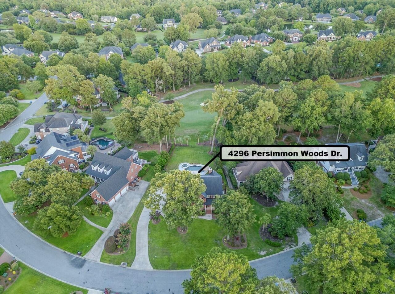 4296 Persimmon Woods Drive Photo 53