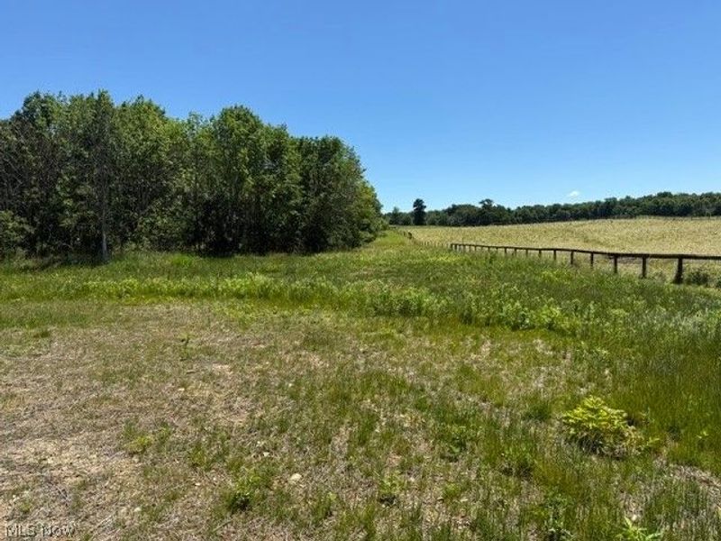 7440 Hunters Glen Lane, Seville, OH 44273 Photo 11