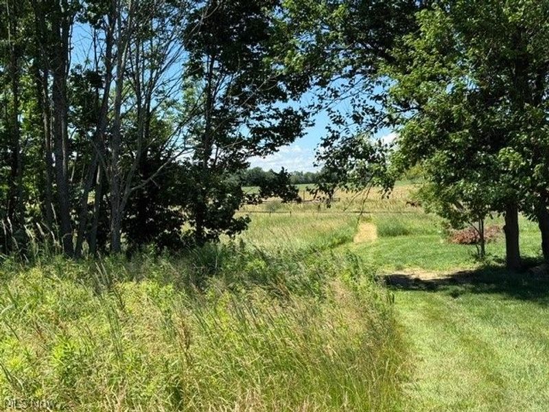 7440 Hunters Glen Lane, Seville, OH 44273 Photo 6