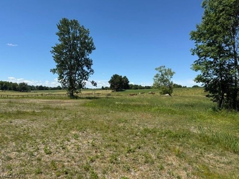7440 Hunters Glen Lane, Seville, OH 44273 Photo 7
