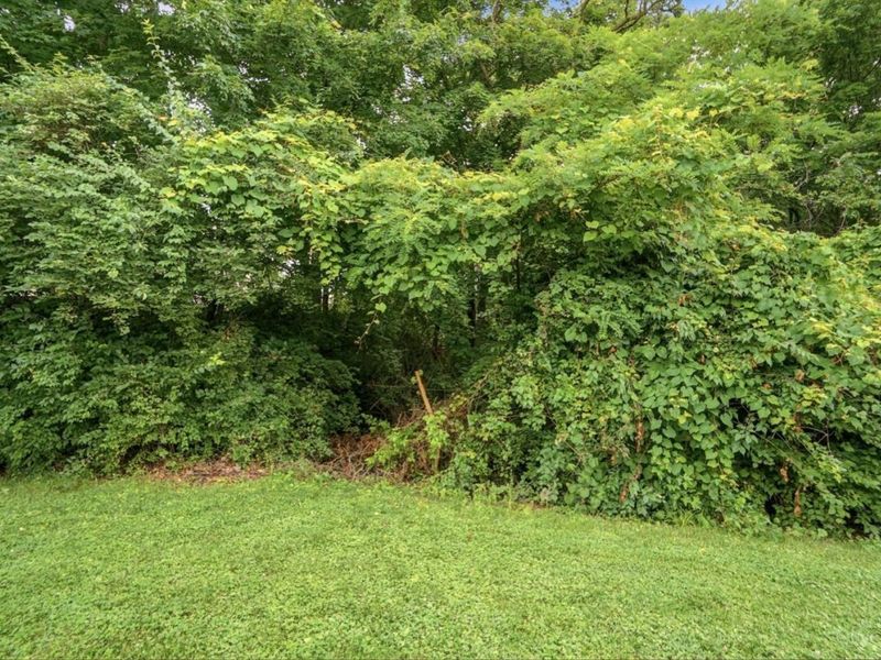 8051 Second Street, West Chester, OH 45069 Photo 39