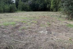 3820 Savannah Highway photo 4