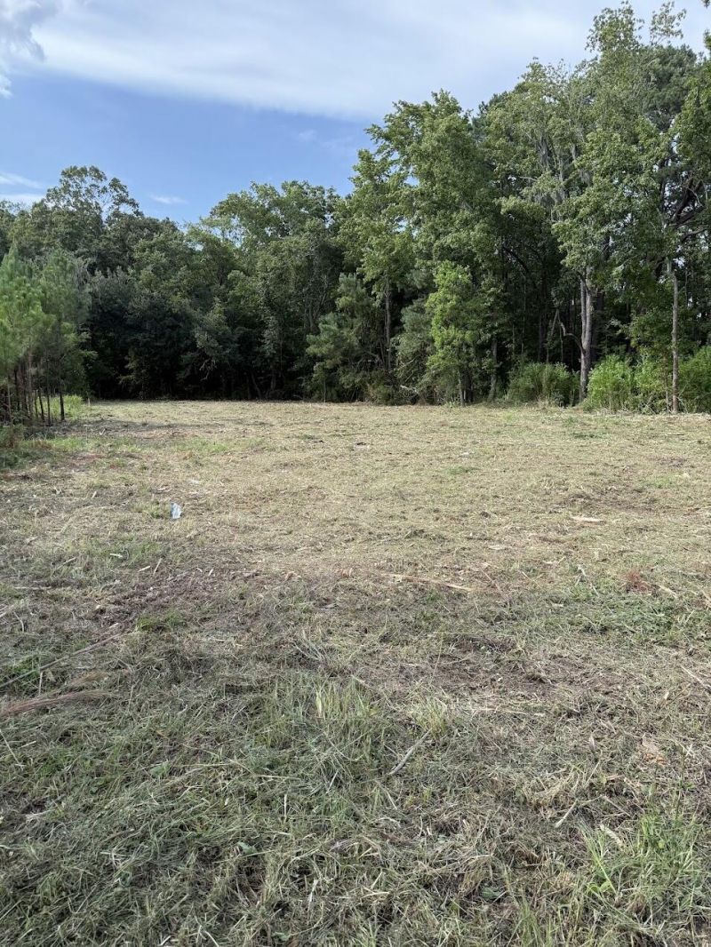 3820 Savannah Highway Photo 4