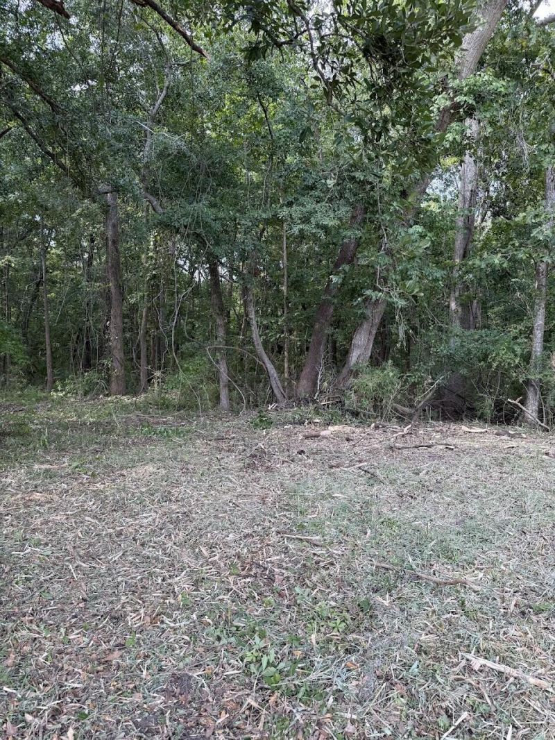 3820 Savannah Highway Photo 6