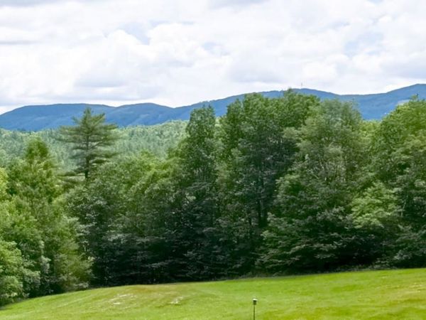 21 Martin Drive, Danbury, NH 03230