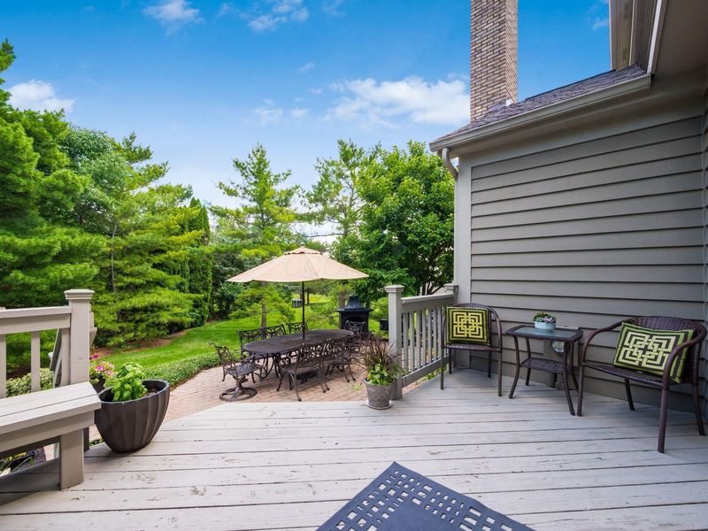 8788 Winnoch Court, Dublin, OH 43017 Photo 44