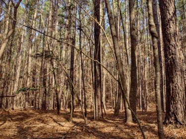 7023 Southern Trail, Chapel Hill, NC 27516