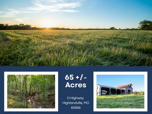 000 State Highway O , Highlandville, MO 65669