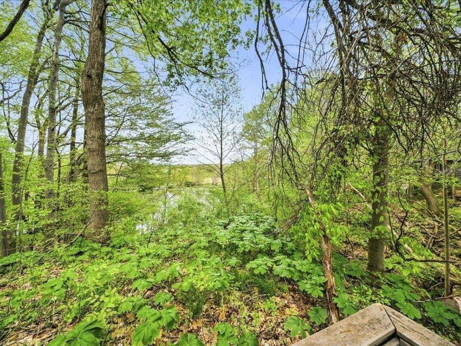Property Image 53