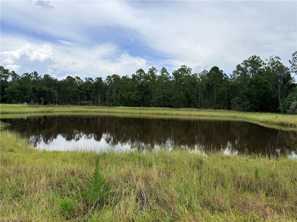 925 Purple Martin Dr , Naples, FL 34120 Photo
