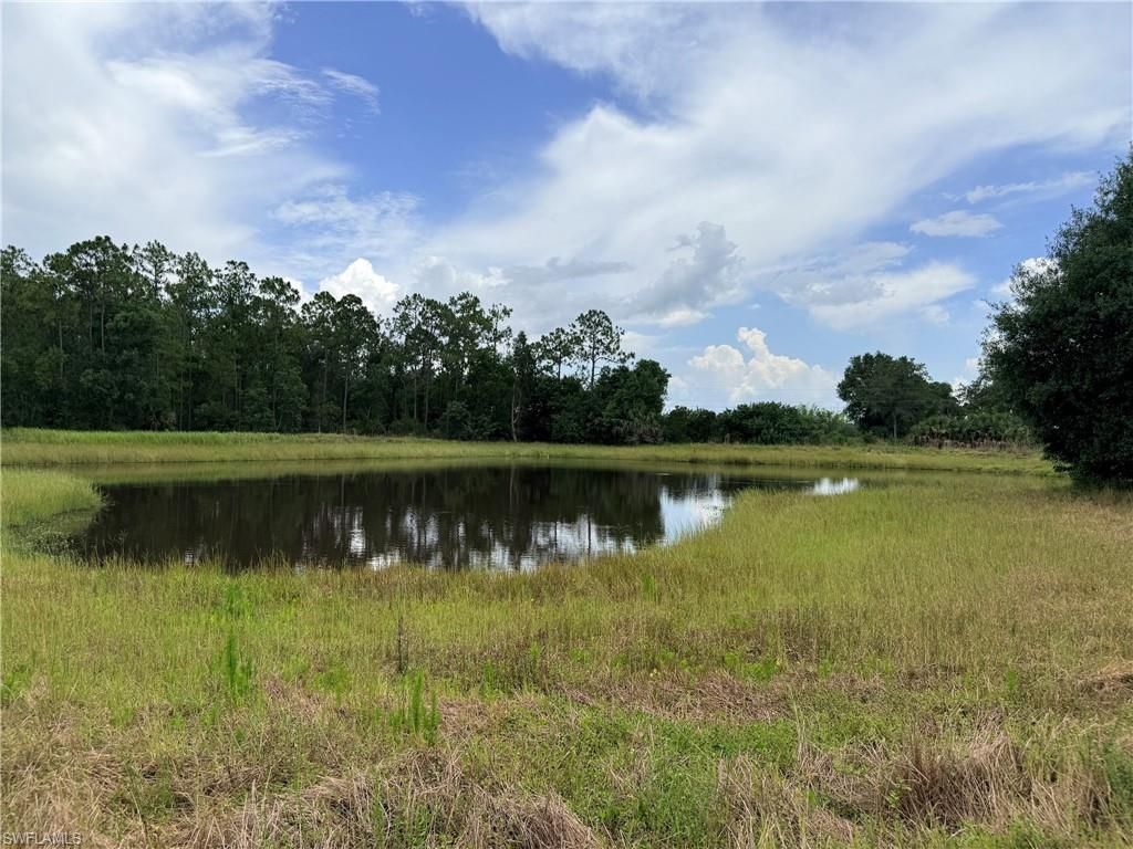 925 Purple Martin Dr , Naples, FL 34120 Photo