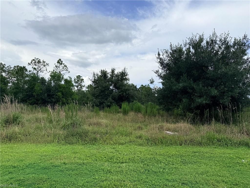 925 Purple Martin Dr , Naples, FL 34120 Photo