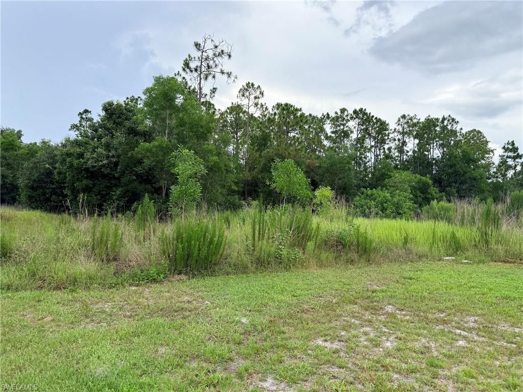 925 Purple Martin Dr , Naples, FL 34120 Photo