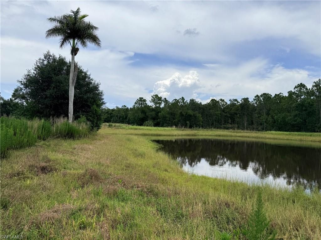 925 Purple Martin Dr , Naples, FL 34120 Photo