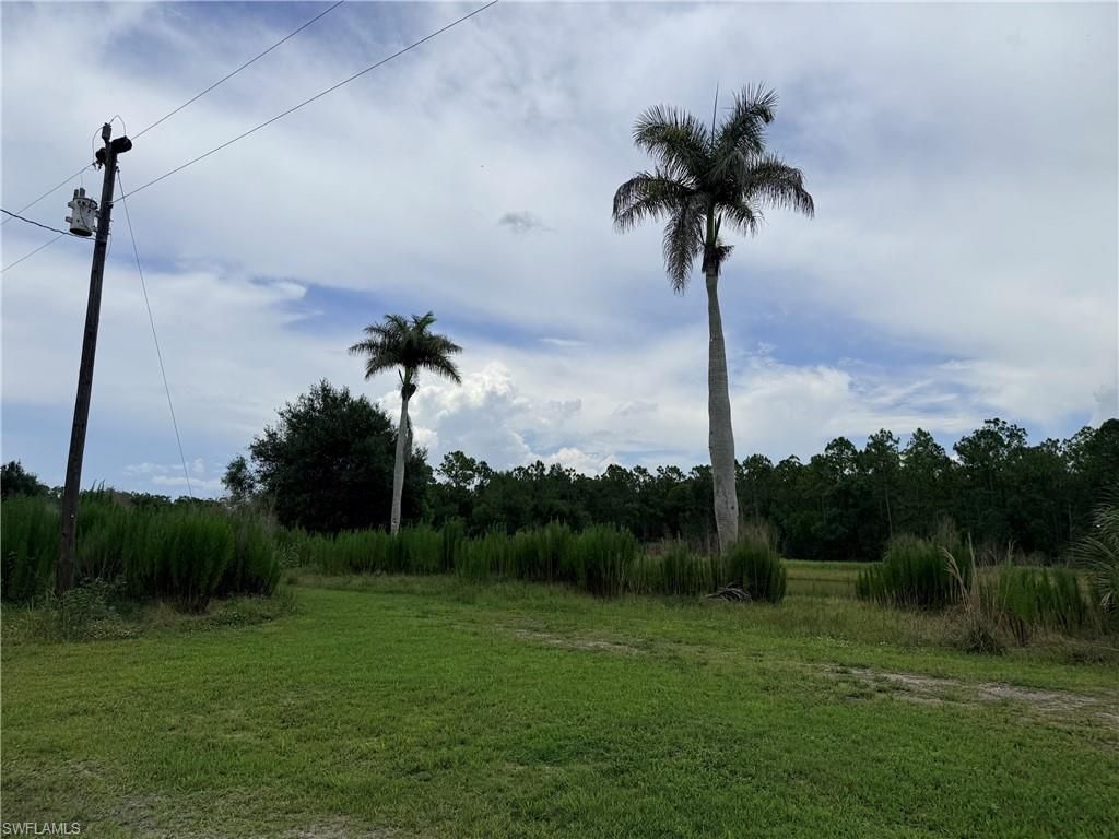 925 Purple Martin Dr , Naples, FL 34120 Photo