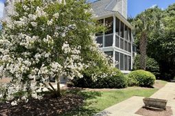 352 Sandpiper photo 4