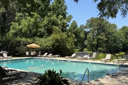 352 Sandpiper photo 4