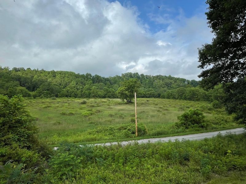 960 Rockcamp Road, New Marshfield, OH 45766 Photo 57