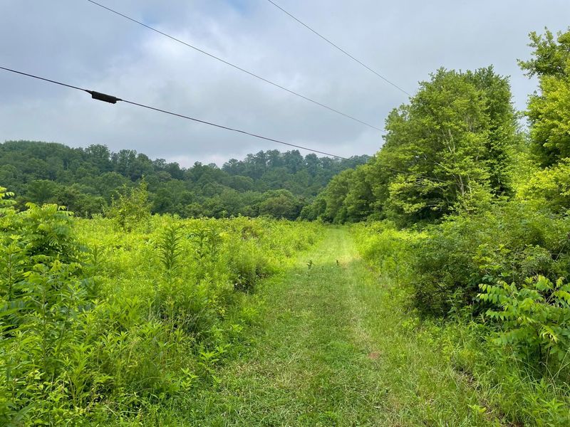 960 Rockcamp Road, New Marshfield, OH 45766 Photo 63