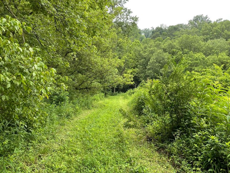 960 Rockcamp Road, New Marshfield, OH 45766 Photo 65