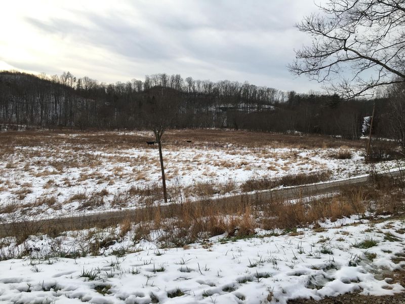 960 Rockcamp Road, New Marshfield, OH 45766 Photo 68